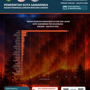 INFOGRAFIS